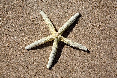 PSVR版《淤能碁吕物语》已推出 PSVR2版2＆22发售